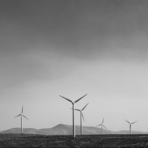 Meet your Posher, Jake